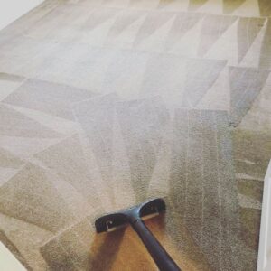 Dry Carpet Cleaners Services