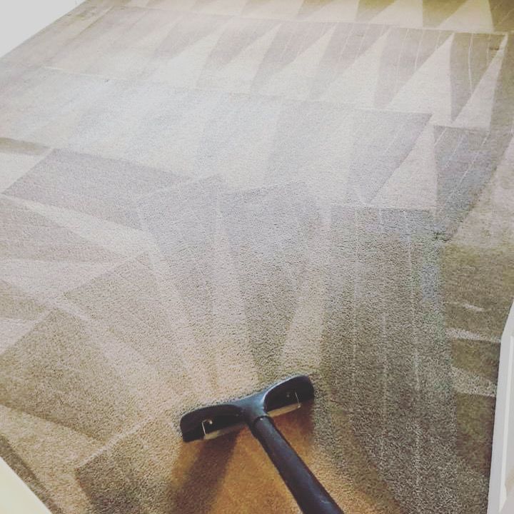 Carpet Cleaning Norwood