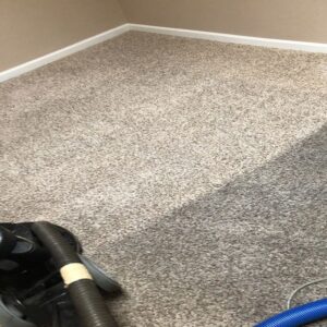 Carpet Cleaners Services