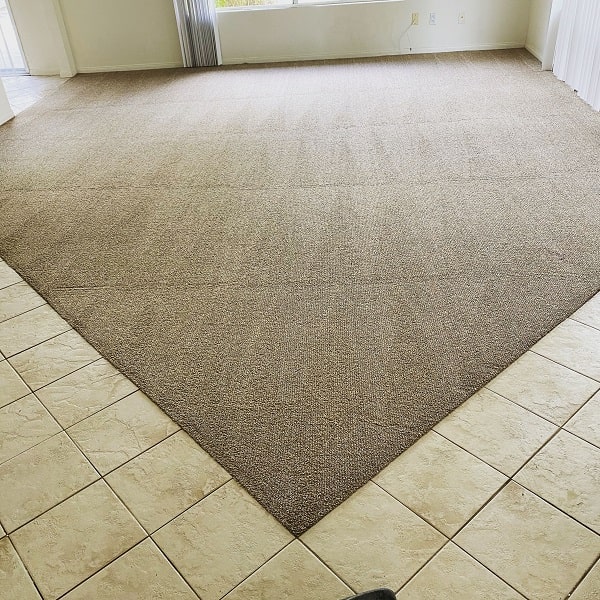 Carpet Patch Repair Service