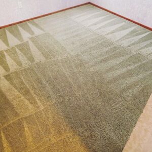 Get Coffee Stains out of Carpet